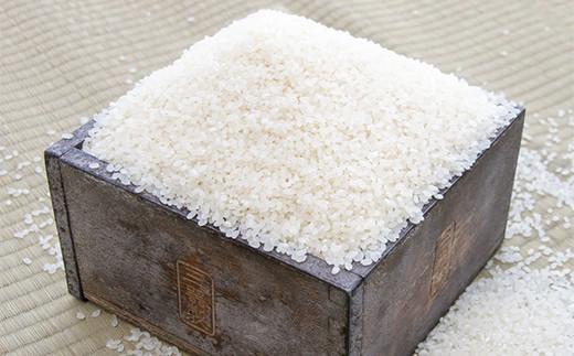 2025年産米 さいとう農園が作った天のつぶ 精米10kg 白米 【先行予約】2025年10月中旬から順次発送 ご飯 ごはん ライス 伊達市 F21C-168