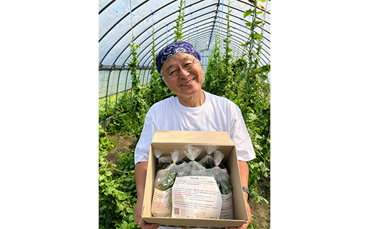 ツルムラサキの仲間のネバネバ野菜！ミネラル豊富なゲンキナ（R）（オカワカメ） 1kg F20C-948