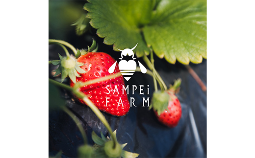 【ご褒美いちご】「ゆうやけベリー」「とちおとめ」の食べ比べセット 約280g×2パック  いちご イチゴ 苺 デザート フルーツ 果物 くだもの 果実 食品 F20C-987