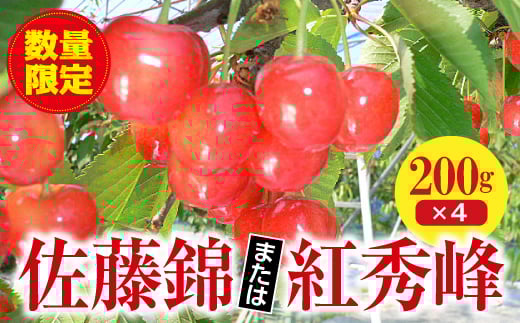 ＜先行予約＞《福島県》伊達市産 さくらんぼ 佐藤錦 または紅秀峰 （200g×4パック） F20C-123