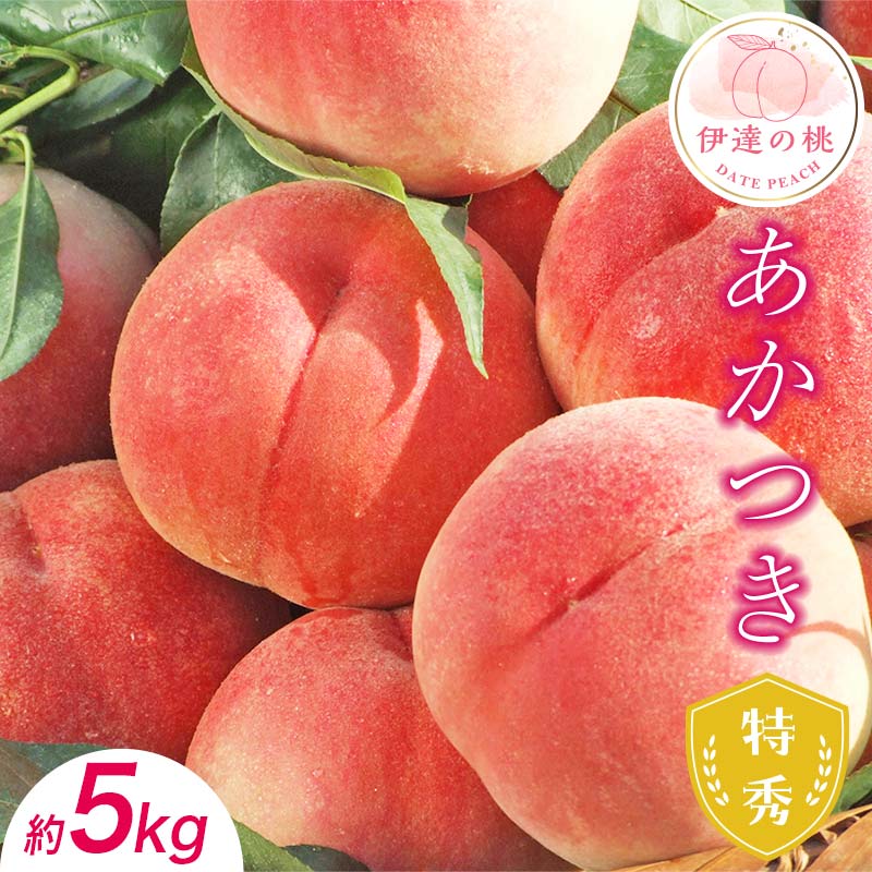 糖度12度以上 特秀 福島県産 桃 あかつき 約5kg 透過式光センサー選別 2026年出荷分先行予約 数量限定 期間限定 白桃 もも モモ 果物 くだもの フルーツ F20C-125 約5kg