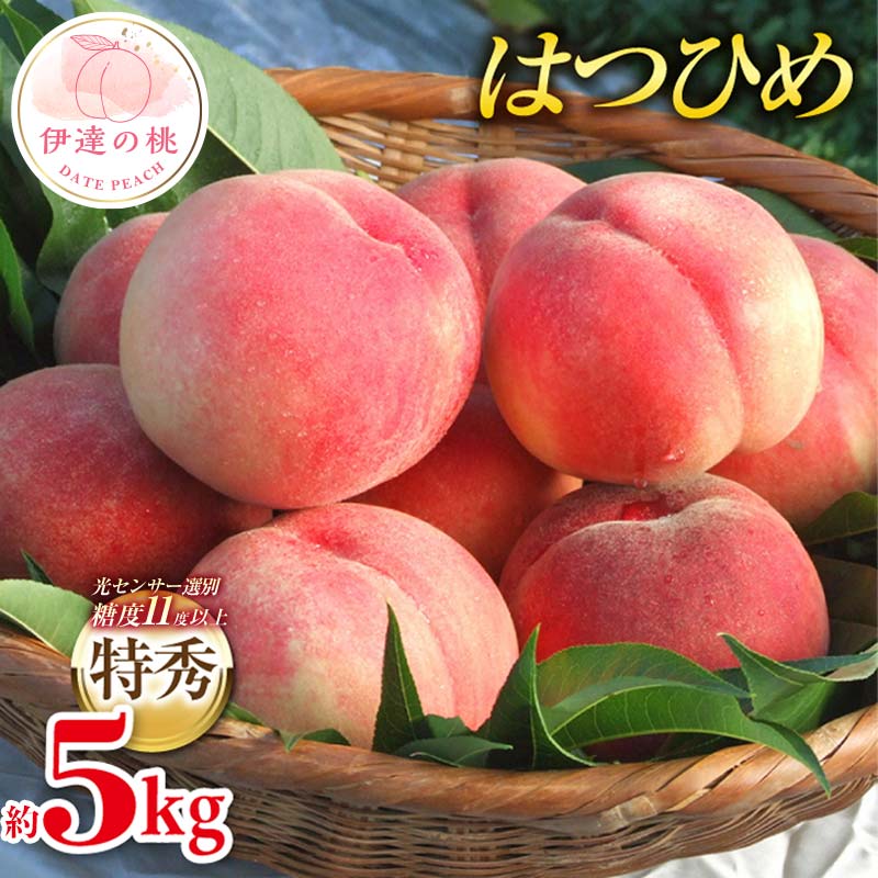 2026年先行予約 糖度11度以上 特秀 福島県産 はつひめ 約5kg 透過式光センサー選別  数量限定 期間限定 桃 もも モモ 果物 くだもの フルーツ F20C-127