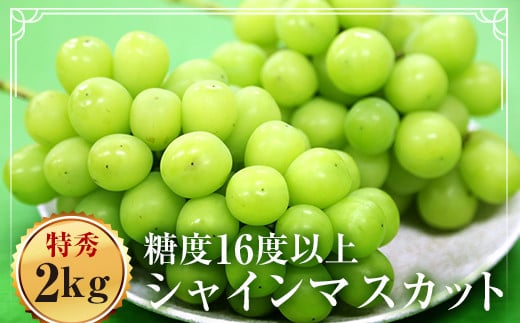 福島県伊達市産 特秀 シャインマスカット 2kg以上（3~4房）  マスカット ぶどう ブドウ 葡萄 デザート フルーツ 果物 くだもの 果実 食品 F20C-128