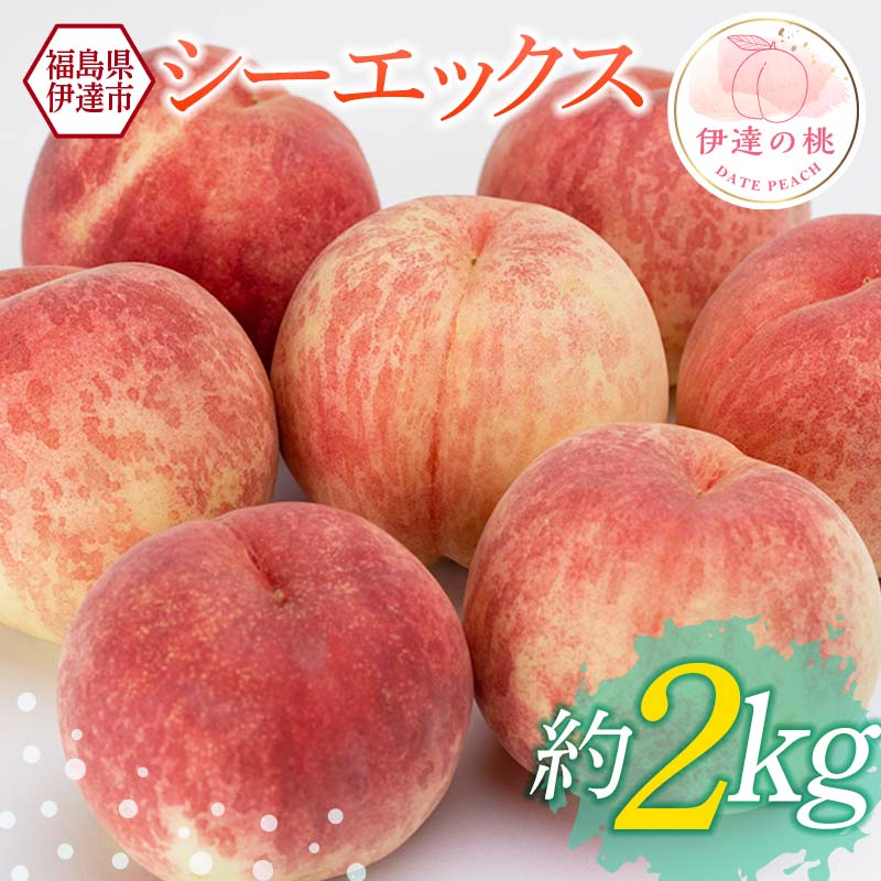 【2026年出荷分先行予約】福島県産 シーエックス 約2kg (5～7玉) 高橋もも園 大玉 伊達の桃 桃 フルーツ 果物 もも モモ momo F21C-229
