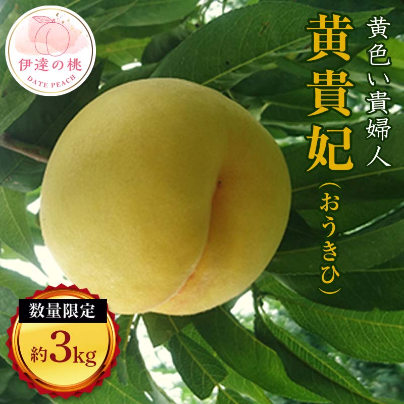 【2026年出荷分先行予約】福島県産 黄貴妃 約3kg (11～13玉) 有限会社志賀青果 数量限定 伊達の桃 桃 フルーツ 果物 もも モモ momo F20C-158