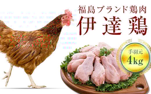 福島県 伊達市産 旨味と肉質がしっかり！ 伊達鶏 手羽元 4kg (2kg×2)  銘柄鶏  ブランド鶏 鶏肉 手羽 とり肉 だてどり ブランド鶏  おつまみ 鶏 チキン 肉 食品 F20C-231