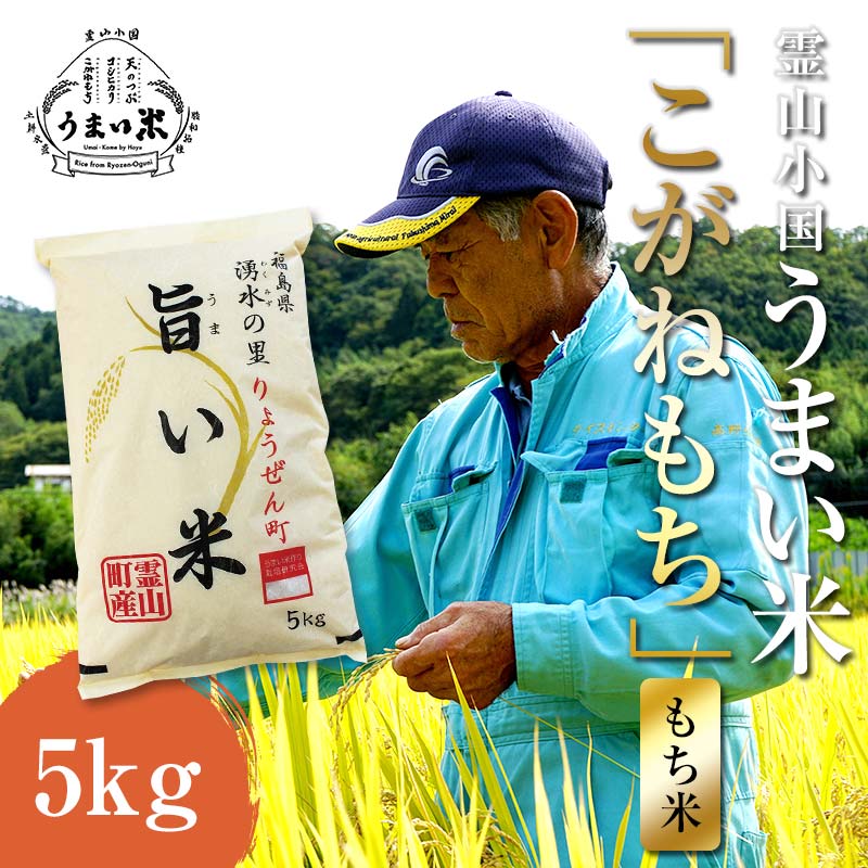 JGAP認証 新米 令和6年産米 霊山小国うまい米 こがねもち 5kg もち米  食品 F20C-262