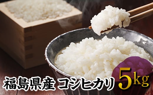 令和7年産米 伊達市産 コシヒカリ 5kg 精米 白米 F20C-273