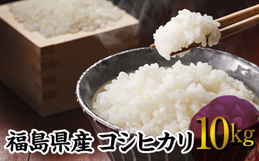 令和7年産米 伊達市産 コシヒカリ 10kg 精米 白米 F20C-274