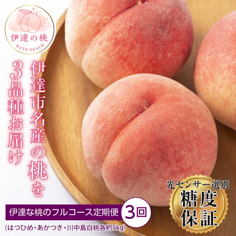 2026年先行予約 特秀 福島県産 伊達な桃のフルコース定期便 全3回 透過式光センサー選別  はつひめ あかつき 川中島白桃 各約5kg 数量限定 期間限定 桃 もも モモ 果物 くだもの フルーツ F20C-287