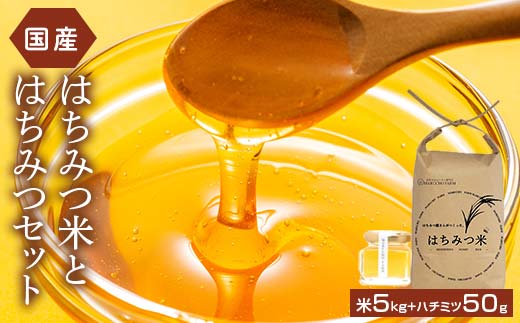 はちみつ米5kgとアカシアはちみつ50gセット 伊達市産 国産 天然 蜂蜜 ハチミツ ハニー お米 F21C-163
