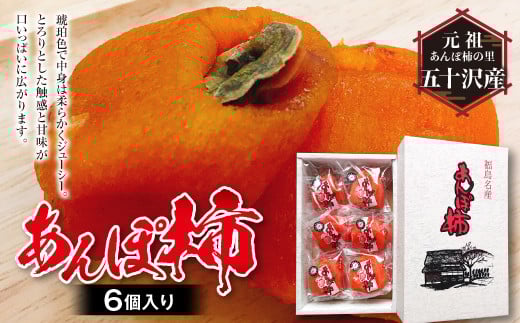 【元祖あんぽ柿の里】五十沢産 あんぽ柿 6個入り  加工品 食品 F20C-329