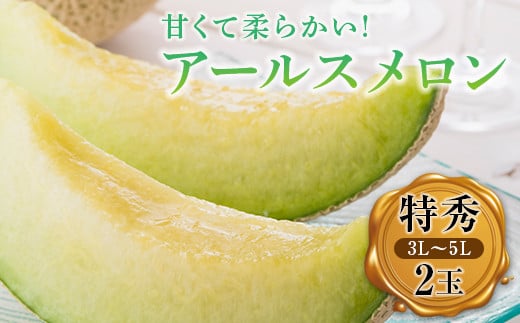 ＜先行予約＞伊達市産 メロン アールスメロン 特秀 (3L～5L) 2玉 福島 マスクメロン 果物 フルーツ  青肉メロン 青肉 デザート くだもの 果実 食品 F20C-337