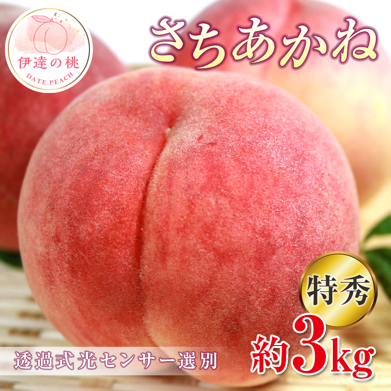【2026年出荷分先行予約】福島県産 特秀 さちあかね 約3kg (9～11玉) ふくしま未来農業協同組合 特秀 透過式光センサー選別 糖度12度以上 固め 伊達の桃 桃 フルーツ 果物 もも モモ momo F20C-352 約3kg