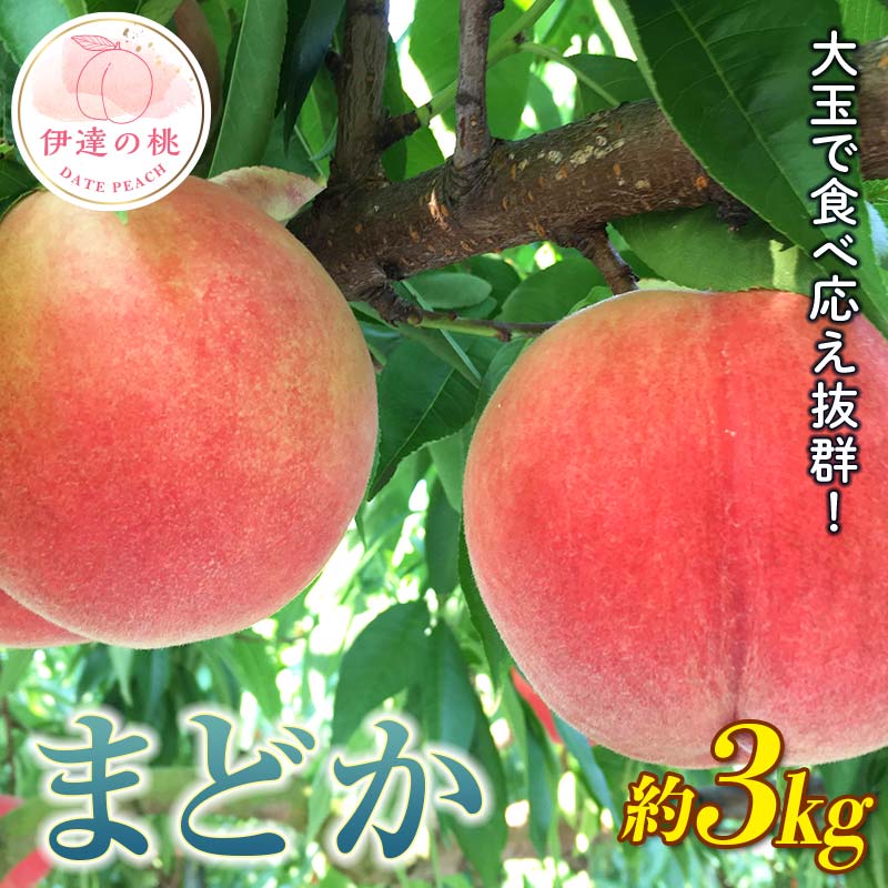 【2026年出荷分先行予約】福島県産 まどか 約3kg (9～12玉) 枝並農園 大玉 固め 伊達の桃 桃 フルーツ 果物 もも モモ momo F20C-370