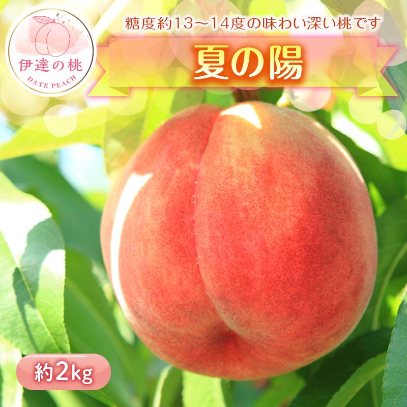 【2026年出荷分先行予約】福島県産 夏の陽 約2kg (7～9玉) 高橋もも園 中玉 柔らかめ 伊達の桃 桃 フルーツ 果物 もも モモ momo F20C-454