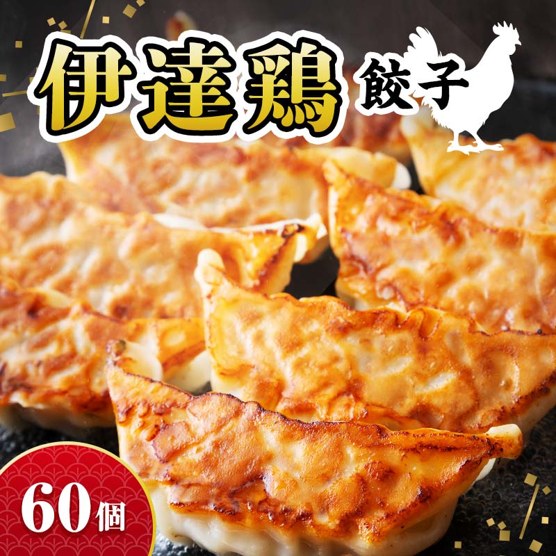 旨味たっぷり 伊達鶏 餃子 60個入り（12個×5パック）福島県 伊達市 東北 冷凍 銘柄鶏 ぎょうざ ギョーザ お手軽餃子 薄皮 特製あん 人気 焼くだけ 鍋 もっちり ビールのお供 夕食のおかず F21C-275