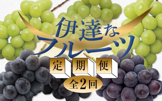 ＜2025年秋から開始の定期便＞伊達なフルーツ定期便（ぶどう2種）果物 フルーツ 葡萄 ブドウ 福島県 伊達市  マスカット ぶどう デザート 果物 くだもの 果実 食品 F20C-477