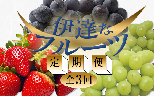 ＜2024年春から開始の定期便＞伊達なフルーツ定期便（いちご・ぶどう2種）果物 フルーツ 苺 イチゴ 葡萄 ブドウ 福島県 伊達市  いちご デザート 果物 くだもの 果実 食品 F20C-487