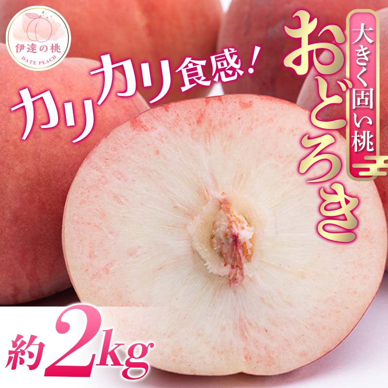 【2026年出荷分先行予約】福島県産 おどろき 約2kg (5～8玉) 農業生産法人種まきうさぎ株式会社 固め 固い 伊達の桃 桃 フルーツ 果物 もも モモ momo F20C-496 約2kg