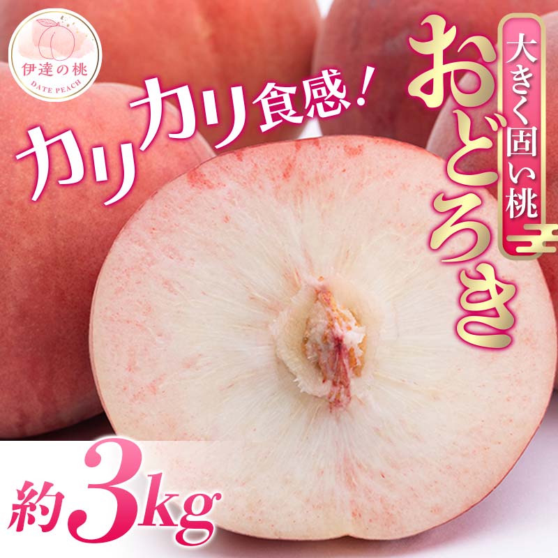 【2026年出荷分先行予約】福島県産 おどろき 約3kg (7～12玉) 農業生産法人種まきうさぎ株式会社 固め 固い 伊達市の桃 桃 フルーツ 果物 もも モモ momo F20C-499 約3kg