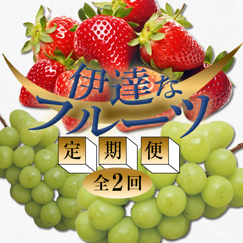 ＜2026年春から開始の定期便＞伊達なフルーツ定期便 (いちご・ぶどう) 果物 フルーツ 苺 イチゴ 葡萄 ブドウ 福島県 伊達市  F20C-511 いちご・ぶどう