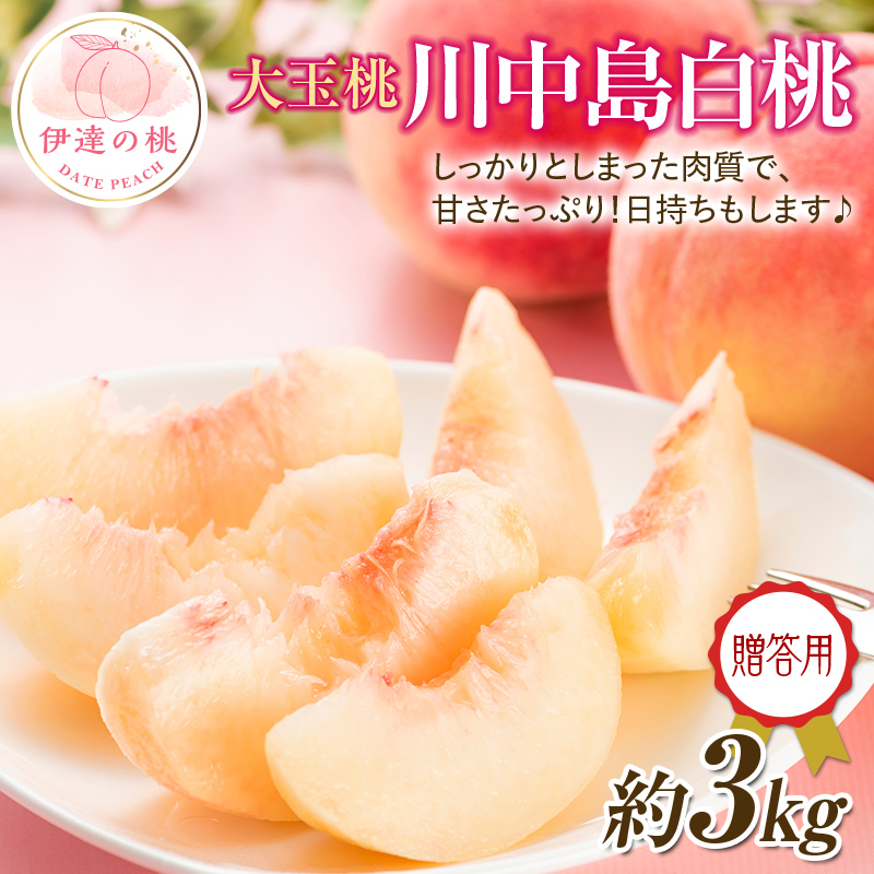 【2026年出荷分先行予約】福島県産 川中島白桃 約3㎏ (約10玉) 一般社団法人つきだて振興公社 白桃 大玉 贈り物 贈答 ギフト 伊達の桃 桃 フルーツ 果物 もも モモ momo F20C-521