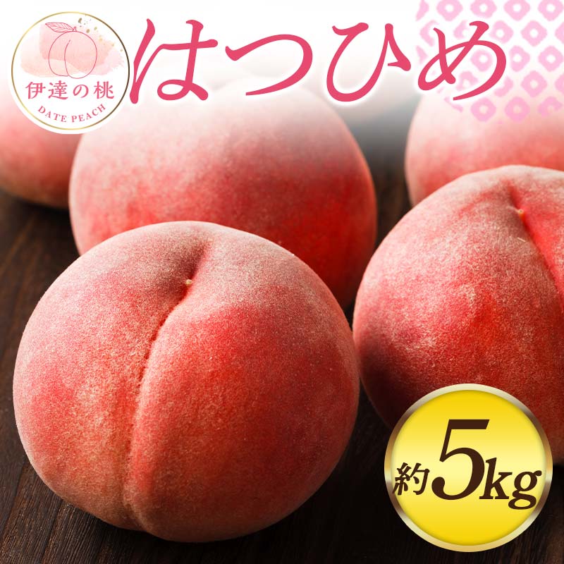 【2026年出荷分先行予約】福島県産 はつひめ 約5kg (13～18玉) 佐藤俊博 福島県オリジナル品種 伊達の桃 桃 フルーツ 果物 もも モモ momo  F20C-551 約5kg