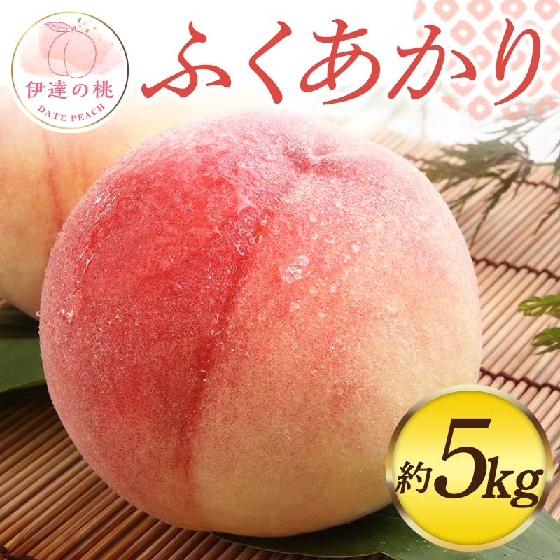 【2026年出荷分先行予約】福島県産 ふくあかり 約5kg (13～18玉) 佐藤俊博 福島県オリジナル品種 伊達の桃 桃 フルーツ 果物 もも モモ momo F20C-554 約5kg