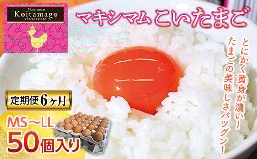 【TVで話題沸騰！】6ヶ月連続定期便！とにかく黄身が濃いたまご「マキシマムこいたまご」毎月50個 伊達市 福島県 国産 MS～LLサイズ 養鶏場直送 卵 たまご 玉子 生卵 鶏卵   F20C-564