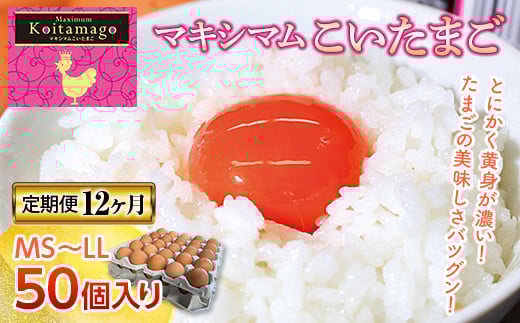【TVで話題沸騰！】12ヶ月連続定期便！とにかく黄身が濃いたまご「マキシマムこいたまご」毎月50個 伊達市 福島県 国産 MS～LLサイズ 養鶏場直送 卵 たまご 玉子 生卵 鶏卵   F20C-565