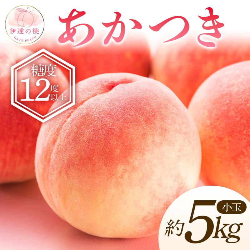 【2026年出荷分先行予約】福島県産 特秀 あかつき 約5kg (20～22玉) ふくしま未来農業協同組合 特秀 小玉 透過式光センサー選別 糖度12度以上 伊達の桃 桃 フルーツ 果物 もも モモ momo F20C-586