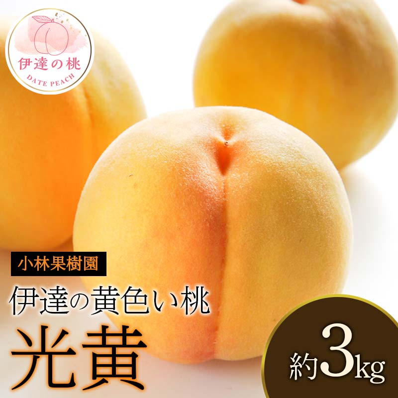 【2026年出荷分先行予約】福島県産 光黄 約3kg (10～12玉) 小林果樹園 大玉 黄桃 伊達の桃 桃 フルーツ 果物 もも モモ momo F20C-589