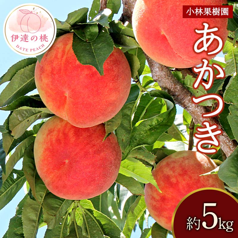 【2026年出荷分先行予約】福島県産 あかつき 約5kg (14～20玉) 小林果樹園 伊達の桃 桃 フルーツ 果物 もも モモ momo F20C-591 約5kg