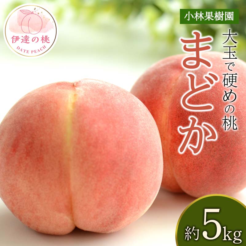 【2026年出荷分先行予約】福島県産 まどか 約5kg (14~20玉) 小林果樹園 大玉 固め 伊達の桃 桃 フルーツ 果物 もも モモ momo F20C-592