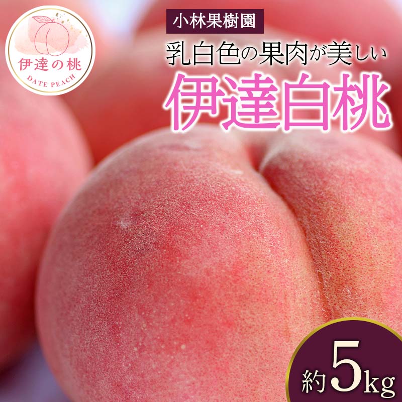 【2026年出荷分先行予約】福島県産 伊達白桃 約5kg (14～20玉) 小林果樹園 伊達の桃 桃 フルーツ 果物 もも モモ momo F20C-593