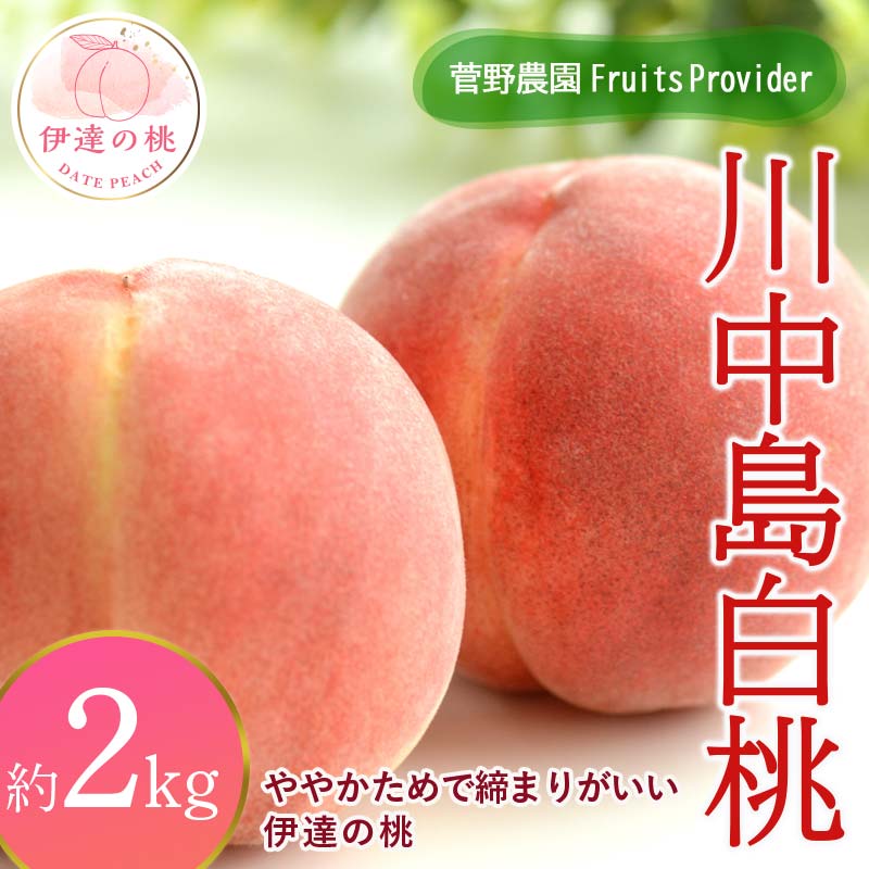 【2026年出荷分先行予約】福島県産 川中島白桃 約2kg (5～7玉) 菅野農園FruitsProvider 白桃 大玉 伊達の桃 桃 フルーツ 果物 もも モモ momo F20C-605
