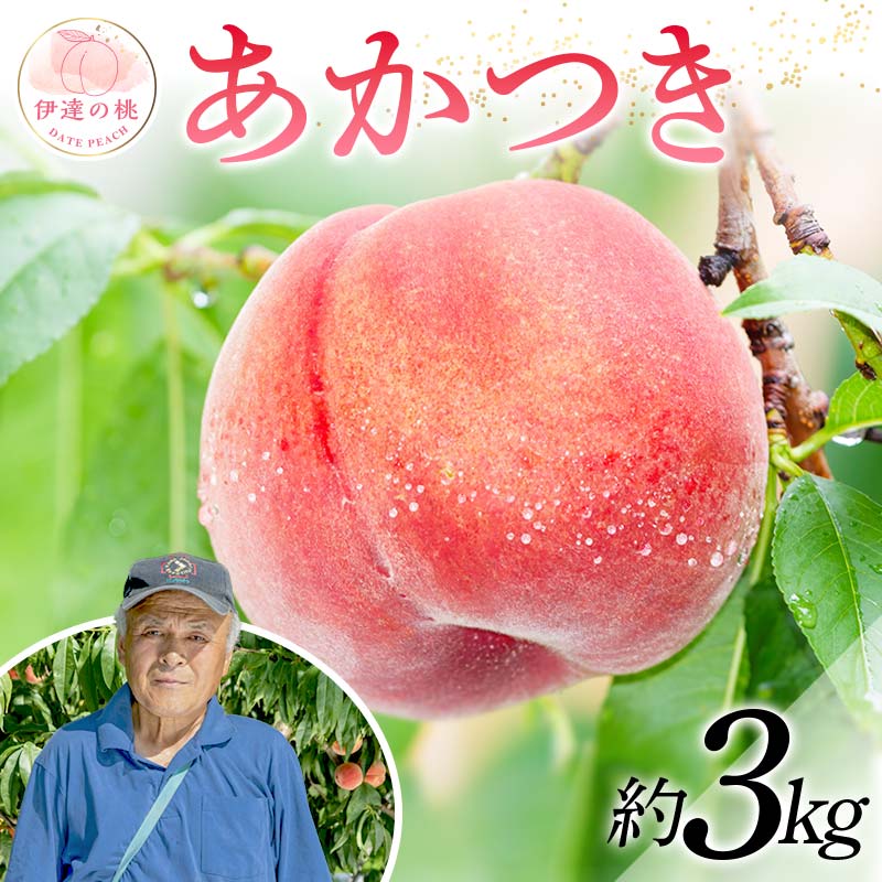 【2026年出荷分先行予約】福島県産 あかつき 約3kg (9～12玉) 斎藤 常昭 新鮮もも直送 伊達の桃 桃 フルーツ 果物 もも モモ momo F20C-607