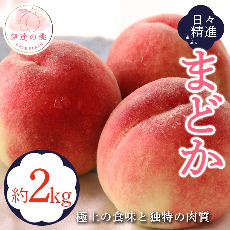 【2026年出荷分先行予約】福島県産 まどか 約2kg (5～9玉) 酒井 幸吉 大玉 固め 伊達の桃 桃 フルーツ 果物 もも モモ momo F20C-609