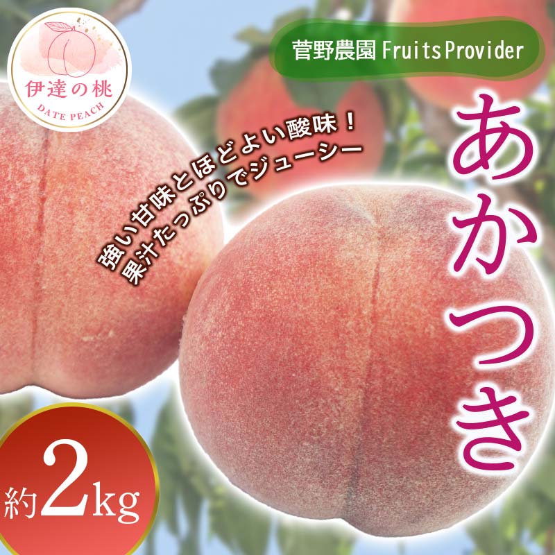【2026年出荷分先行予約】福島県産 あかつき 約2kg (5～8玉) 菅野農園FruitsProvider 伊達の桃 桃 フルーツ 果物 もも モモ momo F20C-611