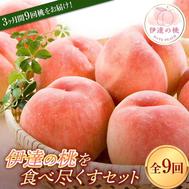 【2026年出荷分先行予約】福島県産 定期便 伊達の桃を食べ尽くすセット 全9回 各約2kg はつひめ ふくあかり あかつき まどか おどろき 川中島白桃 黄貴妃 ゆうぞら さくら白桃 伊達の桃 桃 フルーツ 果物 もも モモ momo F20C-632