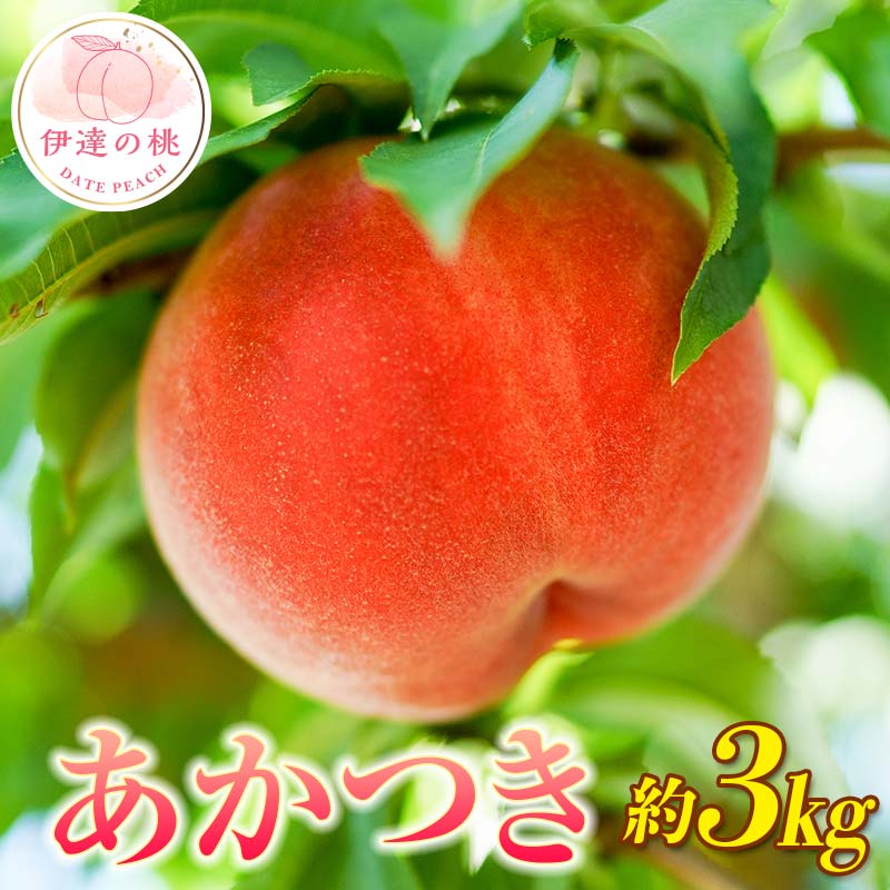 【2026年出荷分先行予約】福島県産 あかつき 約3kg (9～12玉) 枝並農園 伊達の桃 桃 フルーツ 果物 もも モモ momo F20C-637