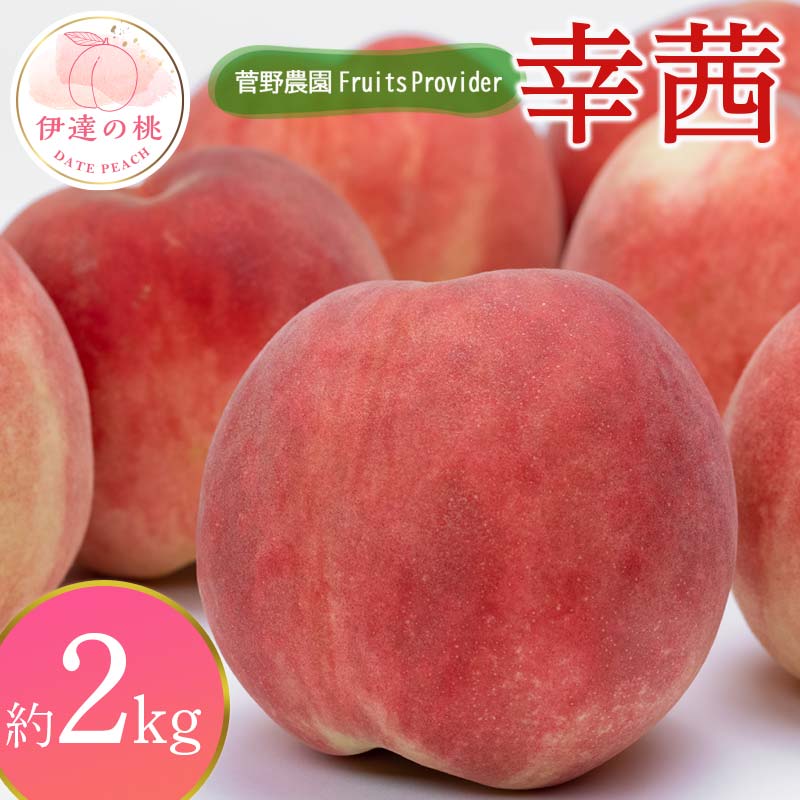 【2026年出荷分先行予約】福島県産 幸茜 約2kg (4～7玉) 菅野農園FruitsProvider さちあかね 大玉 固め 伊達の桃 桃 フルーツ 果物 もも モモ momo F20C-638