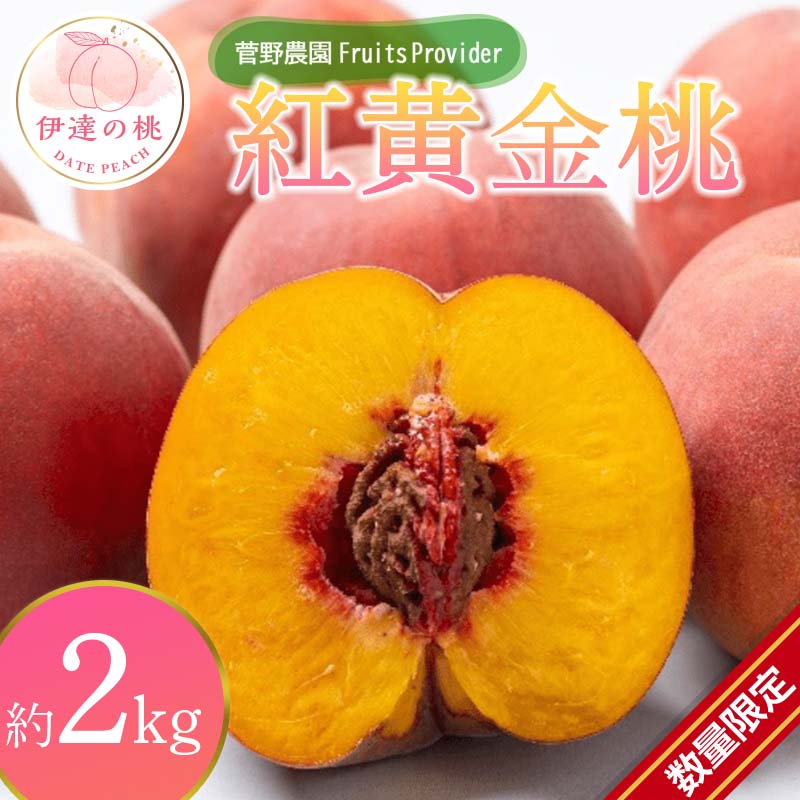 【2026年出荷分先行予約】福島県産 紅黄金桃 約2kg (5～7玉) 菅野農園FruitsProvider 数量限定 大きめ 伊達の桃 桃 フルーツ 果物 もも モモ momo F20C-641