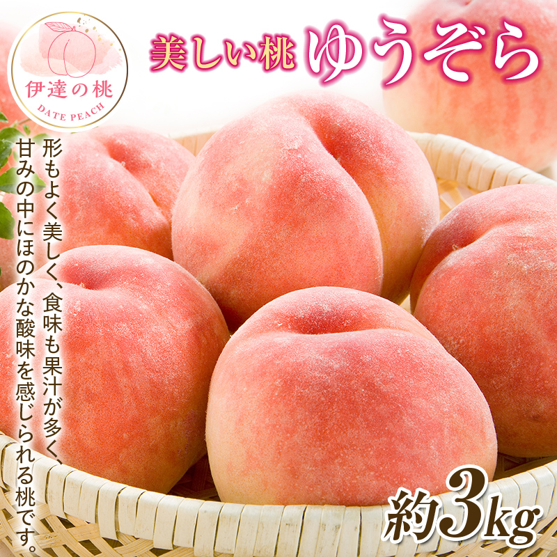 【2026年出荷分先行予約】福島県産 ゆうぞら 約3kg (約10玉) 一般社団法人つきだて振興公社 小さめ 固め 伊達の桃 桃 フルーツ 果物 もも モモ momo F20C-642