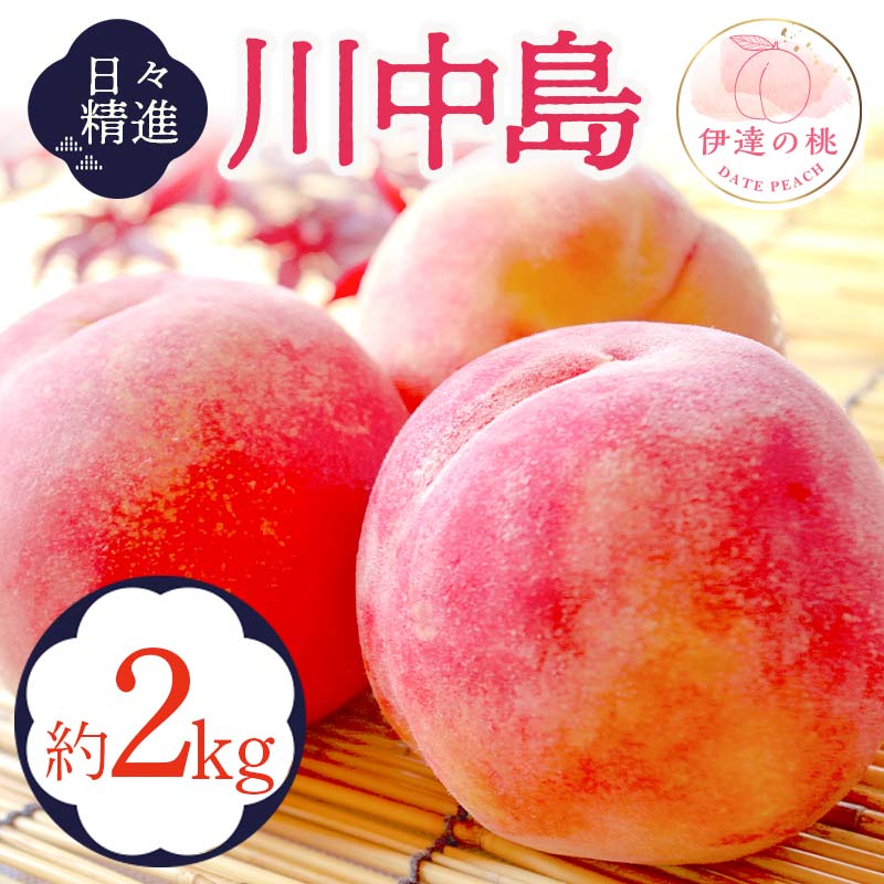 【2026年出荷分先行予約】福島県産 川中島白桃 約2kg (5～9玉) 酒井 幸吉 白桃 大玉 伊達の桃 桃 フルーツ 果物 もも モモ momo F20C-646