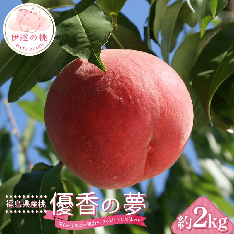 【2026年出荷分先行予約】福島県産 優香の夢（ゆうかのゆめ） 約2kg (6～9玉) 高橋もも園 ゆうかのゆめ 伊達市で開発 数量限定 伊達の桃 桃 フルーツ 果物 もも モモ momo F20C-729