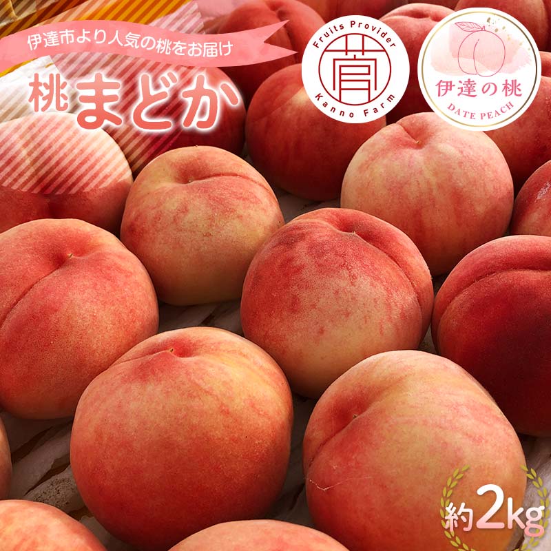 【2026年出荷分先行予約】福島県産 まどか 約2kg (5～7玉) 菅野農園FruitsProvider 大玉 固め 伊達の桃 桃 フルーツ 果物 もも モモ momo F20C-731