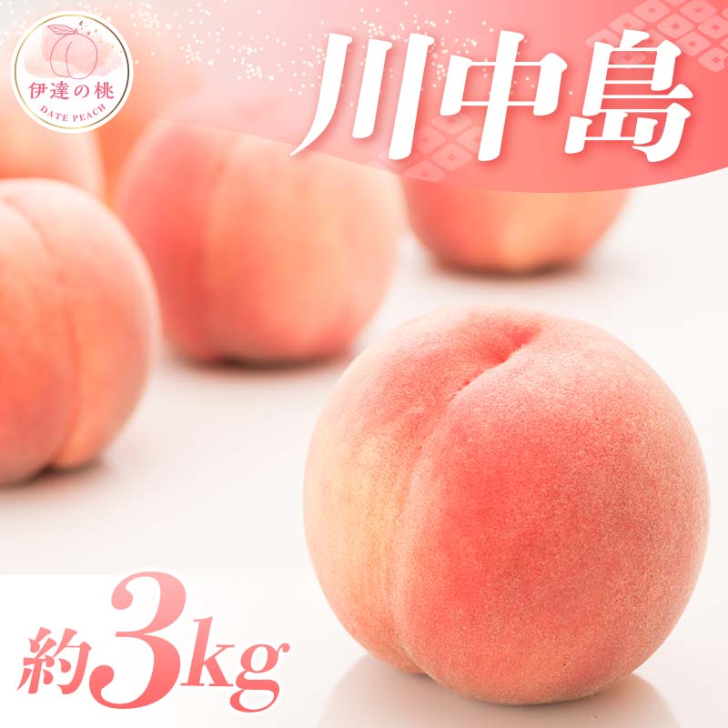 2026年先行予約 糖度12度以上 特秀 福島県産 川中島白桃 約3kg 透過式光センサー選別  数量限定 期間限定 桃 もも モモ 果物 くだもの フルーツ F20C-778 約3kg