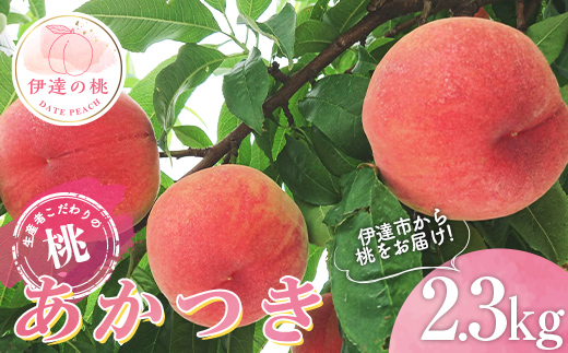 福島県産 あかつき 2.3kg 2025年7月中旬～2025年8月上旬発送 2025年出荷分 先行予約 予約 伊達の桃 桃 もも モモ 果物 くだもの フルーツ 名産品 国産 食品  F20C-783
